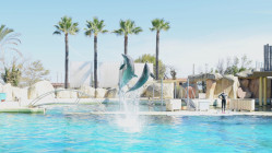 Dauphins de Marineland : le zoo de Beauval pourrait renoncer &agrave; son projet d&rsquo;accueil