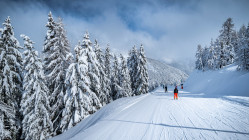 Les premiers flocons sont tombés dans la région