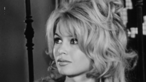 Nice célèbre Brigitte Bardot pendant trois jours : cinéma, conférence et plage pour chiens Nice célèbre Brigitte Bardot pendant trois jours : cinéma, conférence et plage pour chiens