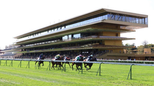 Pégomas : il remporte plus de 155 000 euros au Quinté+ Pégomas : il remporte plus de 155 000 euros au Quinté+
