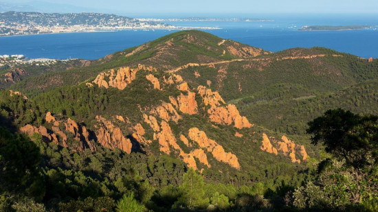 Alpes-Maritimes : vigilance rouge feu de forêt ce vendredi Alpes-Maritimes : vigilance rouge feu de forêt ce vendredi
