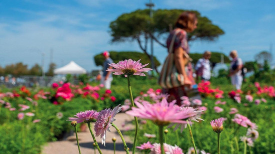 Antibes célèbre le printemps avec ses Floralies fleuries et festives Antibes célèbre le printemps avec ses Floralies fleuries et festives