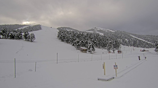 La neige tombe sur Gréolières et l’Audibergue, l’hiver s’installe sur les hauteurs de Grasse La neige tombe sur Gréolières et l’Audibergue, l’hiver s’installe sur les hauteurs de Grasse