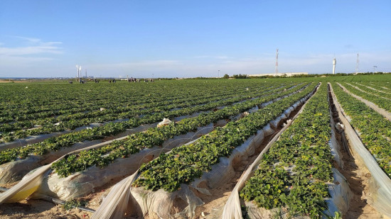 Nice : un bilan environnemental contrasté à l’approche des municipales Nice : un bilan environnemental contrasté à l’approche des municipales