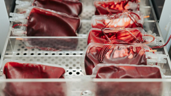 Sang Rouge et Noir : le Gym mobilisé place Masséna Sang Rouge et Noir : le Gym mobilisé place Masséna