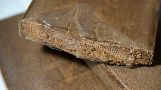 Nice : plus de 6 kilos de drogue et des armes découverts lors d’une intervention policière