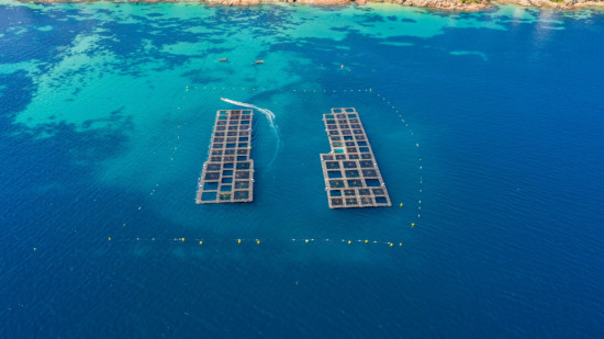 Avis défavorable pour la ferme aquacole de la baie de Golfe-Juan : au préfet de trancher ! Avis défavorable pour la ferme aquacole de la baie de Golfe-Juan : au préfet de trancher !