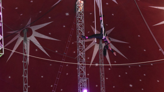 Antibes : le cirque Zavatta fait fi de l’arrêté municipal et a accueilli du public samedi