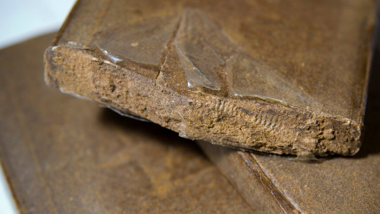 Alpes-Maritimes : un réseau de trafic de drogue démantelé Alpes-Maritimes : un réseau de trafic de drogue démantelé