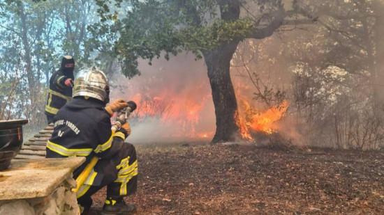 Alpes-Maritimes : 50 pompiers et trois h&eacute;licopt&egrave;res mobilis&eacute;s sur un feu de v&eacute;g&eacute;tation &agrave; Caussols