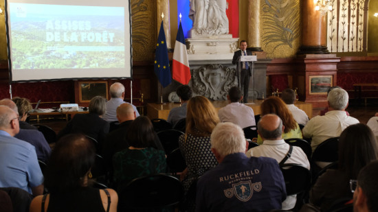Alpes-Maritimes : une feuille de route jusqu&rsquo;en 2035 pour prot&eacute;ger les for&ecirc;ts face au changement climatique