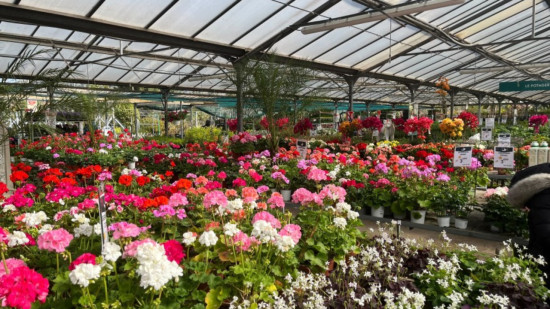 C'est la semaine du jardinage C'est la semaine du jardinage