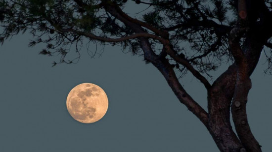 Ce 13 juillet, le ciel sera illuminé par une nouvelle Super Lune ! Ce 13 juillet, le ciel sera illuminé par une nouvelle Super Lune !