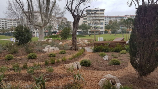 Festival de la Côte d'Azur : les dessous du métier de paysagiste