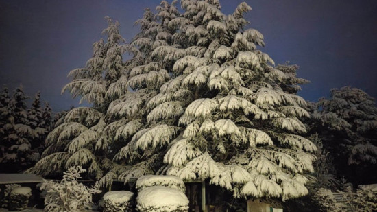 Jusqu'à 15 cm de neige en Provence et sur les massifs
