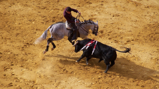 La fin de la corrida en France ? La fin de la corrida en France ?
