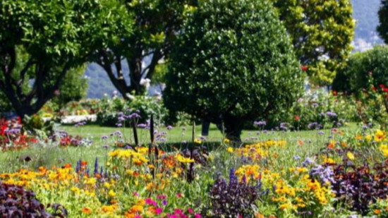 Label villes et villages fleuris : faire avec le manque d'eau Label villes et villages fleuris : faire avec le manque d'eau