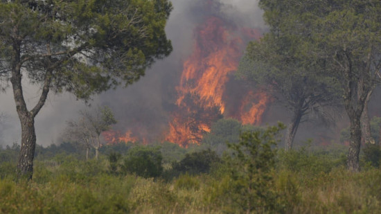 Les incendies se multiplient dans le Var