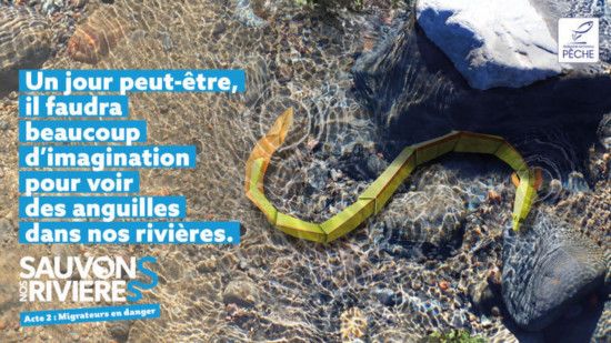 Les rivières azuréennes désertées par les poissons migrateurs Les rivières azuréennes désertées par les poissons migrateurs