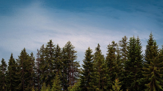 Nice célèbre la nature cette semaine Nice célèbre la nature cette semaine