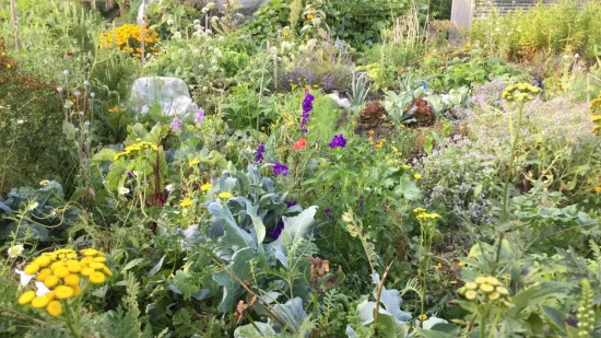 Nice : un atelier gratuit pour jardiner avec la nature