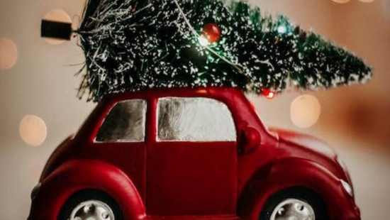 Offrir une seconde vie aux sapins de Noël Offrir une seconde vie aux sapins de Noël