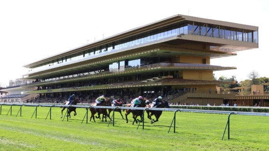 P&eacute;gomas : il remporte plus de 155 000 euros au Quint&eacute;+