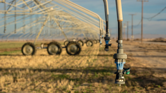 Sécheresse : face au manque d'eau, la région veut réutiliser les eaux usées Sécheresse : face au manque d'eau, la région veut réutiliser les eaux usées