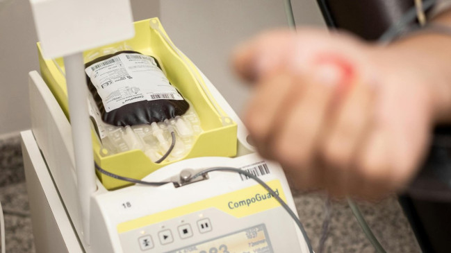 Nice : la Maison du Don lance un appel &agrave; la mobilisation pour les dons de plasma