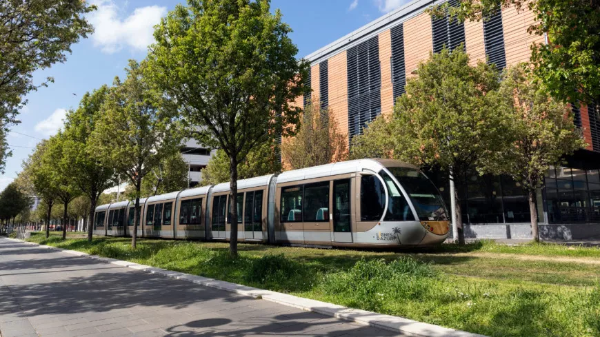 Nice : tramways et bus fortement perturbés jeudi