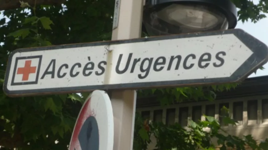 St Laurent du Var : Aux urgences parce qu’elle a une mygale dans l’oreille