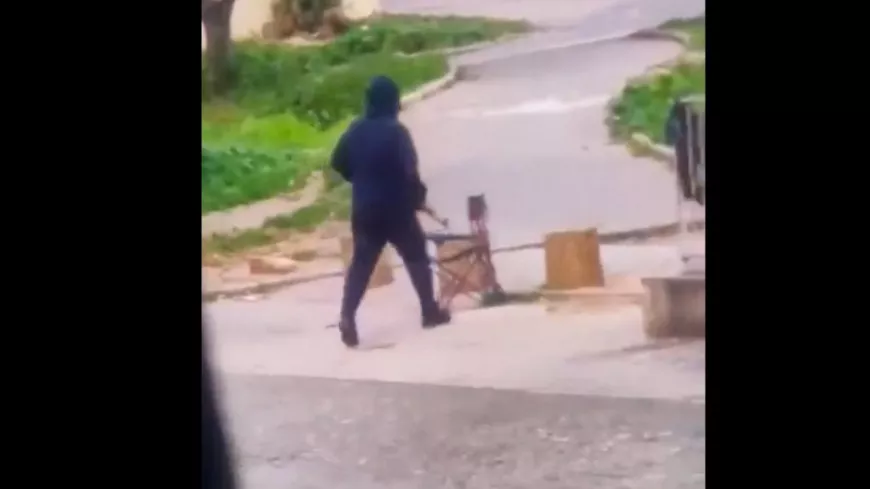 Homme armé d'une Kalashnikov filmé dans la cité des Moulins à Nice : neuf interpellations