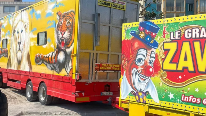 Le cirque Zavatta quitte Saint-Laurent-du-Var pour Antibes, un arrêté anti-spectacles a été pris