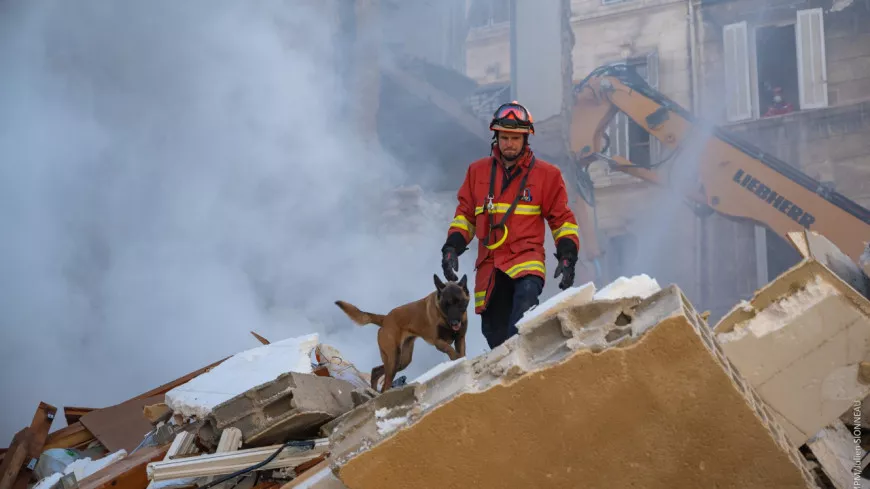 Effondrement d’un immeuble à Marseille : deux experts niçois sur place pour identifier les victimes