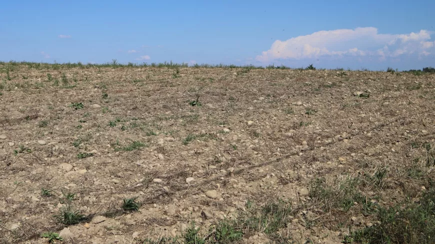L’Etat reconnaît la sécheresse de 2022 comme calamité agricole dans les Alpes-Maritimes