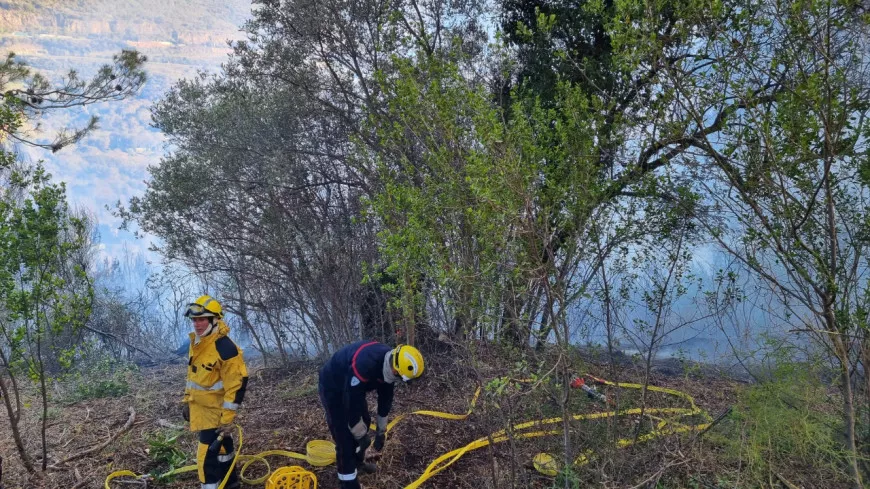Près de Nice : l'incendie de La Trinité fixé, un hectare détruit par les flammes