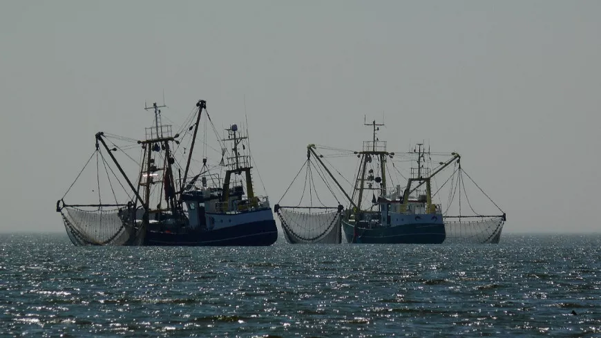 Assises de la pêche à Nice : les pêcheurs résignés face à la fin des aides sur le gazole