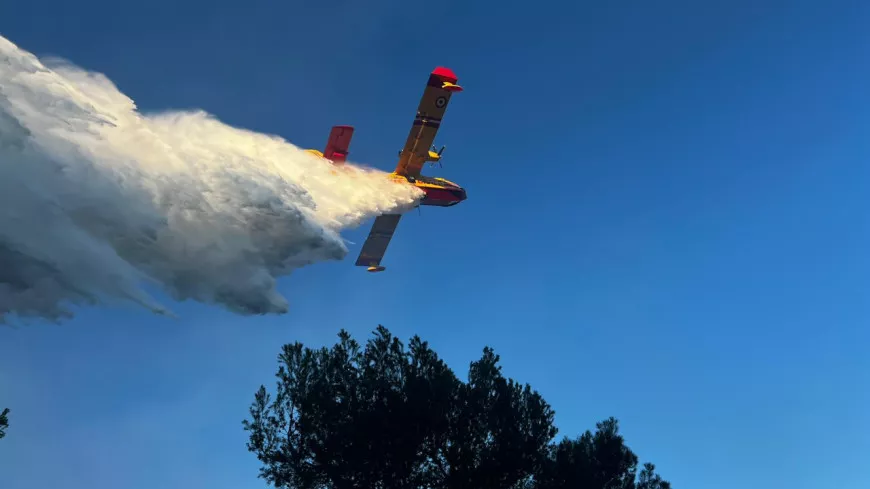 Incendie de la Trinité : 1 ha brûlé et un chien retrouvé mort