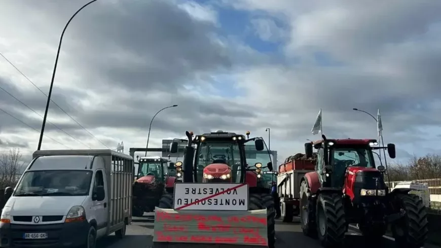 Les agriculteurs prévoient de manifester dans les Alpes-Maritimes cette semaine