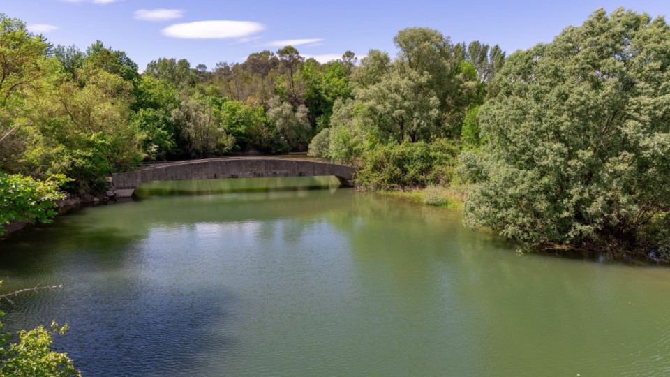 Montauroux : 200 hectares de for&ecirc;ts menac&eacute;s autour du lac de Saint-Cassien