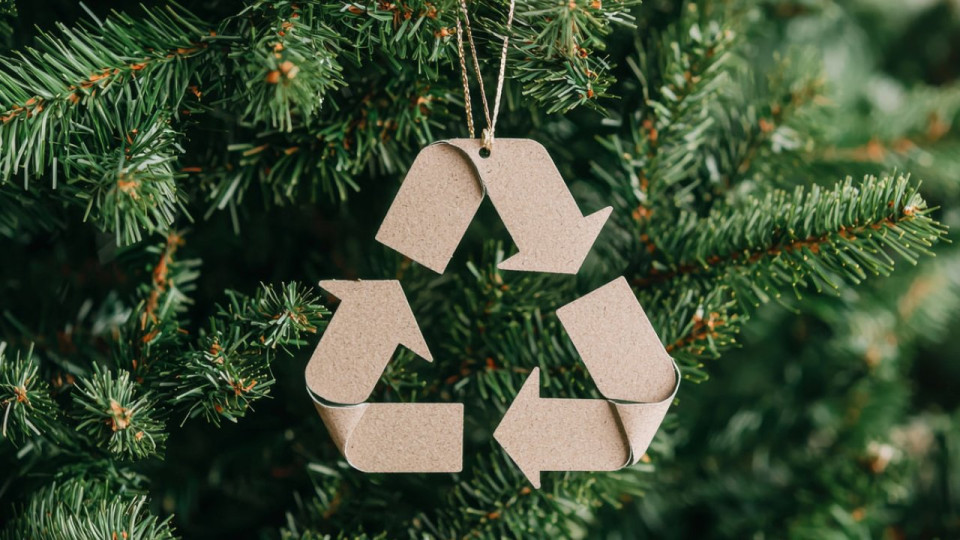 O&ugrave; jeter son sapin de No&euml;l sans risque d&rsquo;amende dans les Alpes-Maritimes ?