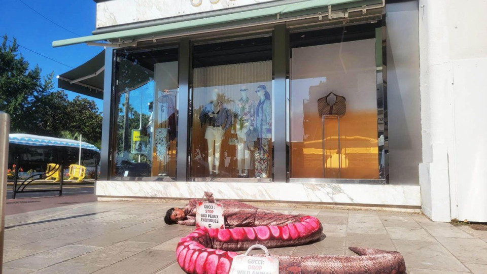 Une militante Peta déguisée en serpent sur la Croisette pour interpeller Gucci