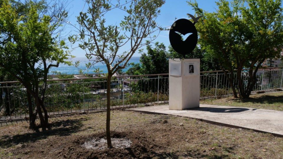 Vandalisme &agrave; Menton : l&rsquo;olivier en hommage &agrave; Ilan Halimi a &eacute;t&eacute; arrach&eacute;