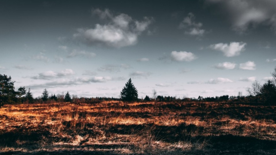 6 millions d’euros pour lutter contre les feux de forêts dans la région