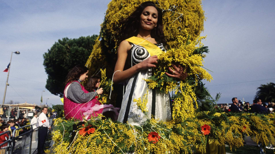 La fête du Mimosa arrive à grands pas à Mandelieu
