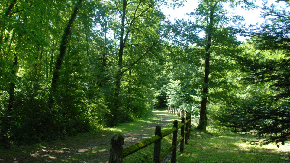 Des fragments d’os ont été retrouvés à Tende