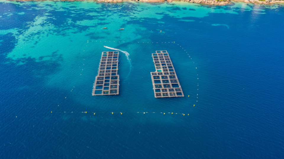 Avis défavorable pour la ferme aquacole de la baie de Golfe-Juan : au préfet de trancher !