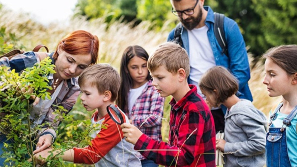 Colonies de vacances: activités à l'ombre ou dans l'eau contre la chaleur