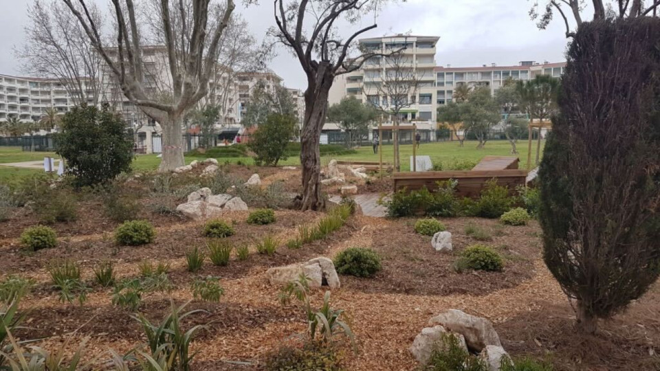 Festival de la C&ocirc;te d'Azur : les dessous du m&eacute;tier de paysagiste