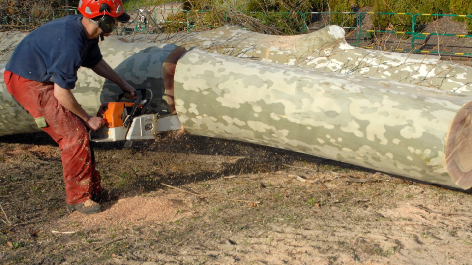 Grasse : 60 000 &agrave; 80 000 euros de mat&eacute;riel vol&eacute;s aux espaces verts de la Ville
